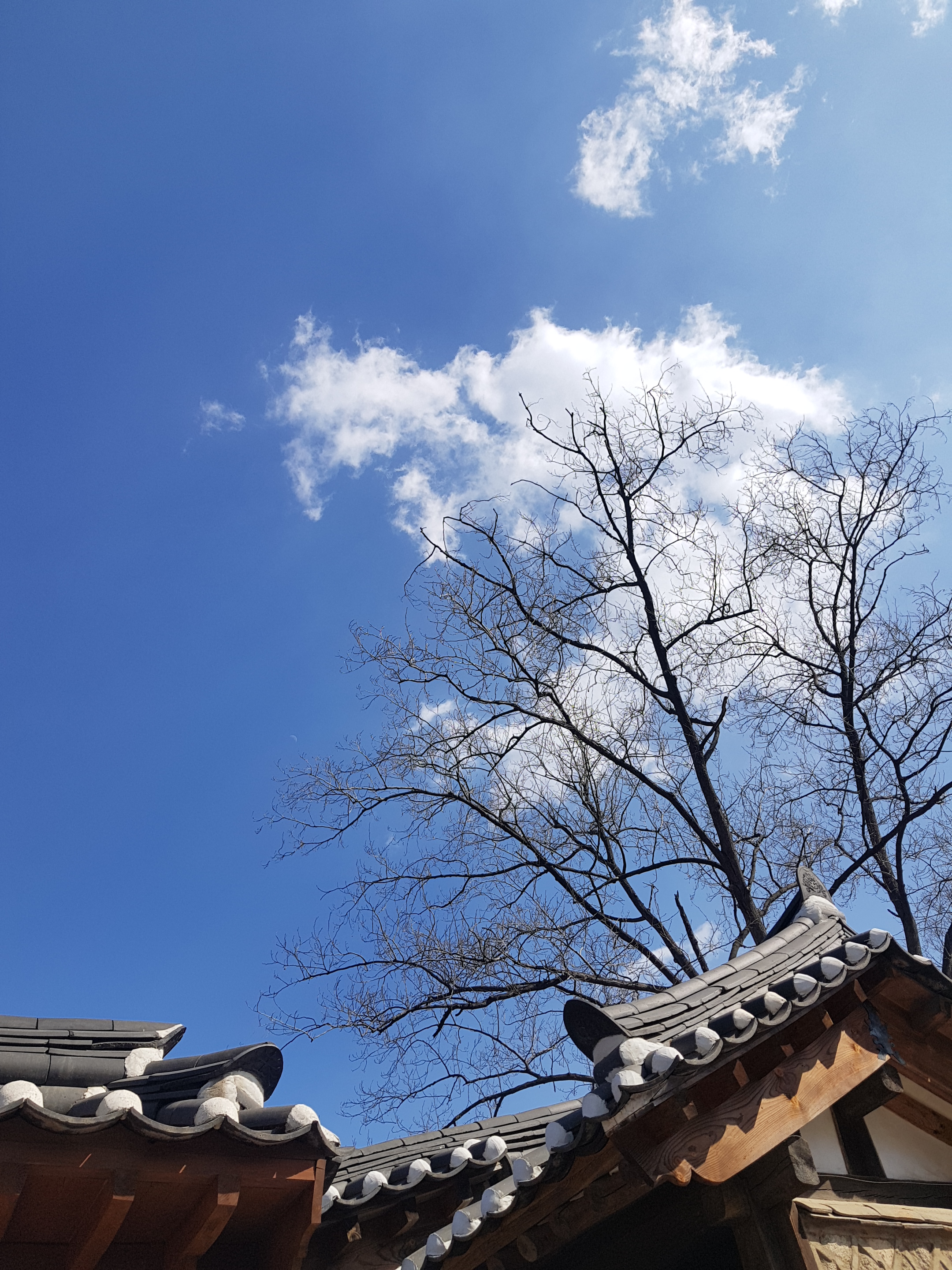 Spring, Cloud, Stone Wall of Bicheondang