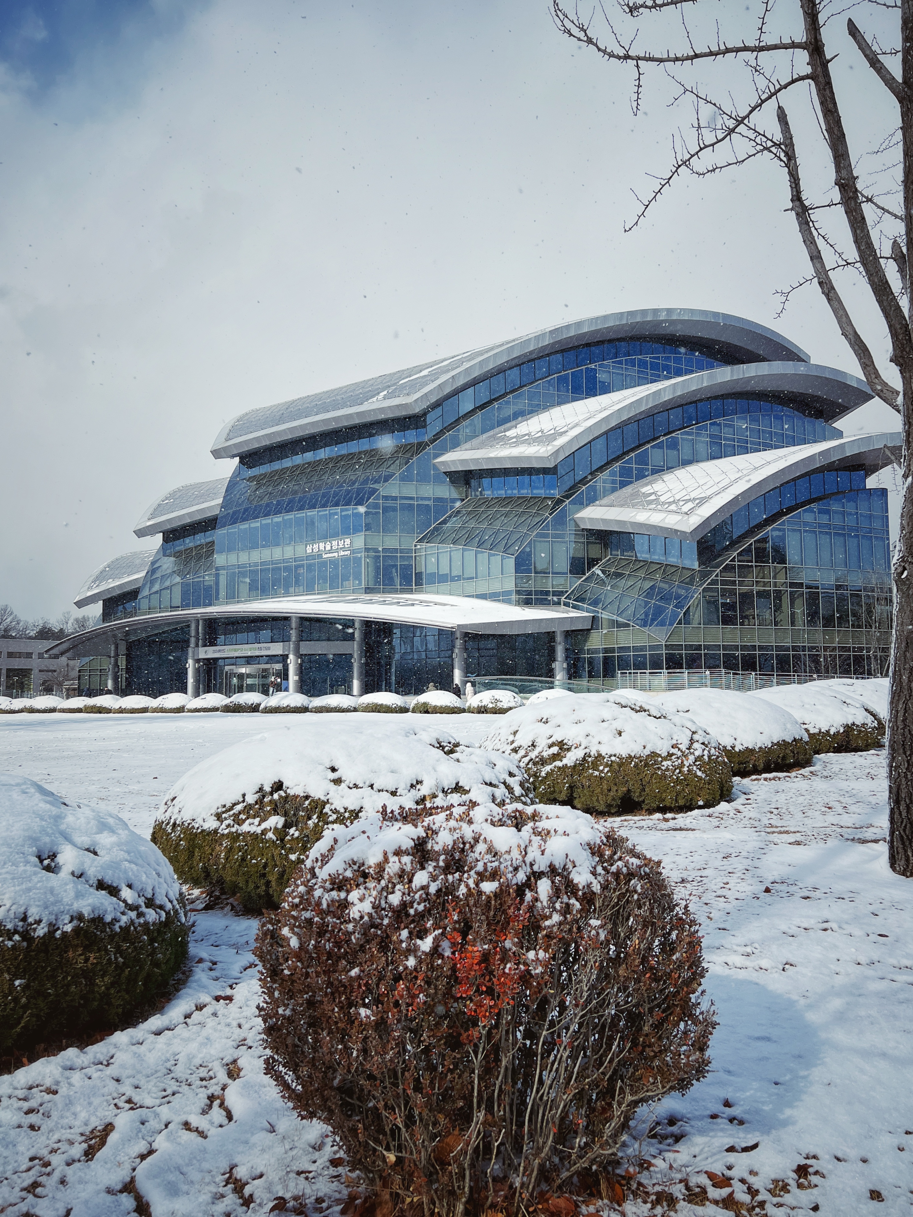 Samsung Library in the snow